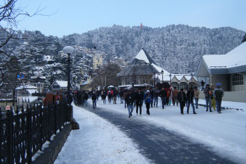 Chandigarh Shimla Manali Chandigarh 7 Nights Tour